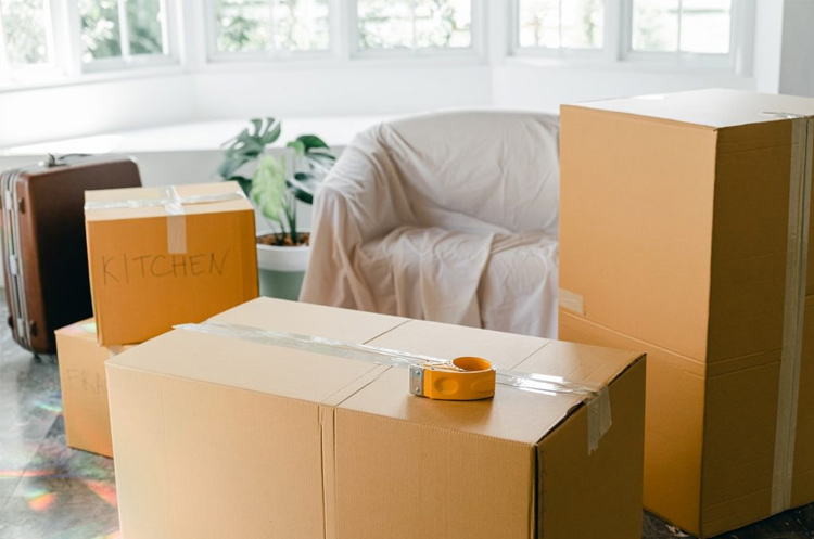 packing and moving services
